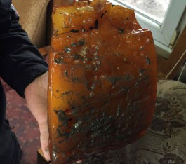 В Калининградской области нашли янтарный самородок весом 2,7 килограмма (фото)