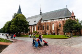 Турпоток в первой половине 2025 года в Калининградской области вырос на 7%