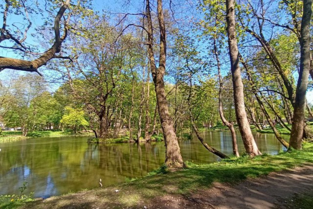 Парк ашмана в калининграде фото