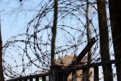 Житель Калининграда получил восемь лет тюрьмы за развращение своего трёхлетнего сына