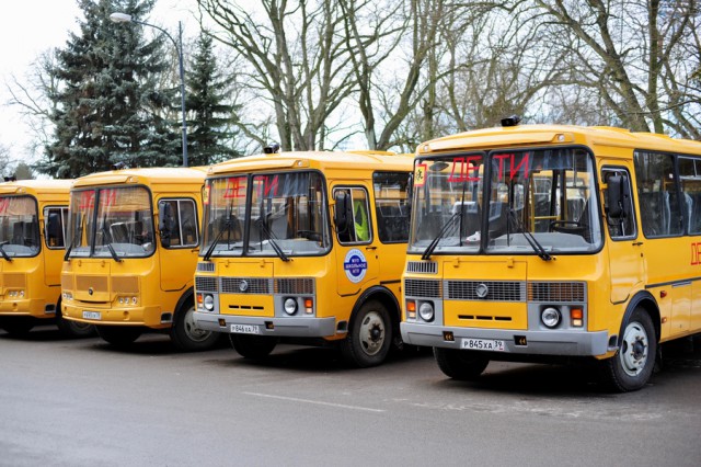 Правительство области закупило 31 автобус для перевозки детей в муниципалитетах (фото)