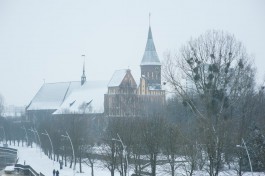 МЧС предупреждает об ухудшении видимости из-за тумана в Калининградской области