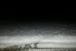 Ночью в Калининградской области выпал снег (фото)