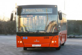 «Убийцы маршруток»: «Калининград-ГорТранс» получил пять новых автобусов МАЗ (фото)