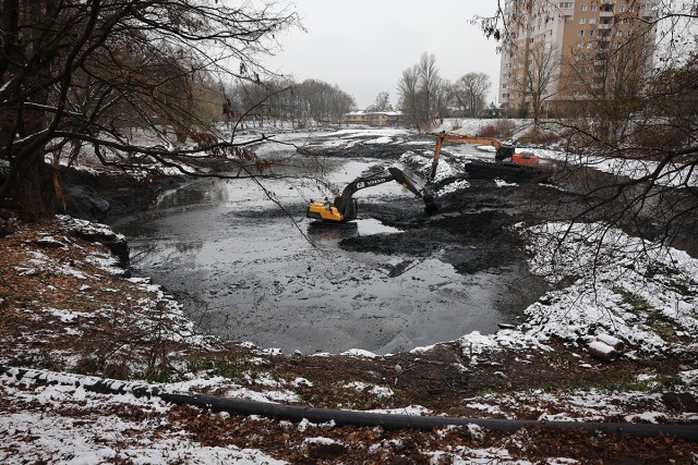 Минприроды: Очистку Гагаринского ручья в Калининграде завершили на 80%
