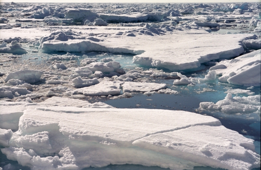 За сутки на лёд водоёмов области вышли 490 рыбаков