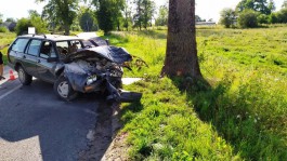 Под Правдинском «Фольксваген» врезался в дерево: водителя госпитализировали