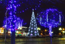 «Ёлки на любой вкус и слёзы на деревьях»: как украсили Калининград перед Новым годом (фото)