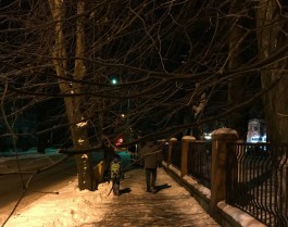 Нависающие над тротуарами ветки деревьев в Калининграде мешают пешеходам 