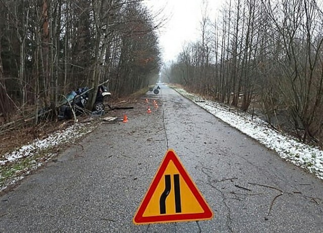 В Багратионовском округе БМВ из-за косули съехал в кювет и разбился о деревья