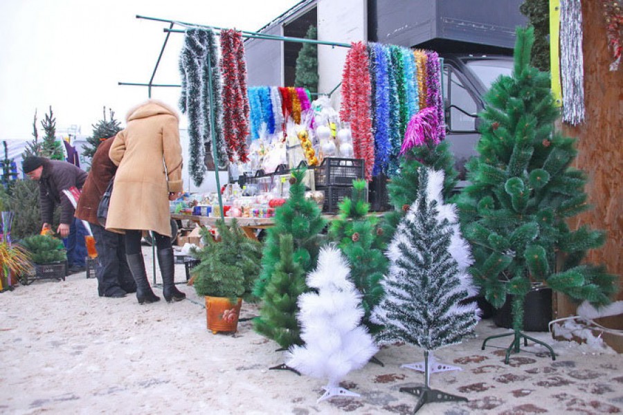 С 19 декабря на ярмарке у Дома Советов начнётся продажа новогодних ёлок