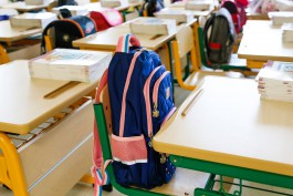 Из-за ОРВИ в регионе приостановили занятия в 50 школьных классах и 15 группах детсадов