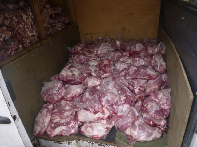 Калининградец пытался ввезти из Польши 600 кг свинины «для себя» (фото)