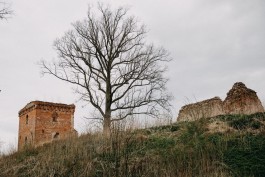 Под Правдинском хотят восстановить башню и флигель средневекового замка Гросс Вонсдорф