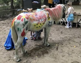 В парке Отрадного детям предлагают порисовать красками на пони (видео)