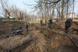 Под Багратионовском рабочие обнаружили останки 25 бойцов Красной армии (фото)