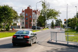 На улице Дачной в Калининграде разрешили вырубить 33 дерева