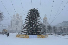 На площади Победы в Калининграде ветром снесло верхушку новогодней ёлки