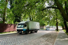 Для капремонта улицы Галицкого в Калининграде вырубят 54 дерева