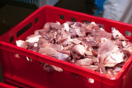 С начала февраля из Калининградской области вывезли более 1,2 тысячи тонн мяса