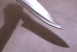 В Прибрежном полицейские «по горячим следам» задержали вора с ножом