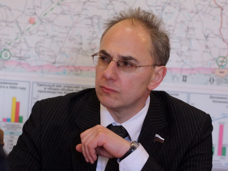 Гинзбург назвал позицию Власенко по выборам губернатора «неандертальской»