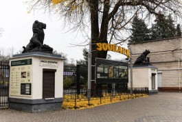 Калининградский зоопарк переходит на зимний режим работы