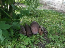 В центре Калининграда на территории зоопарка нашли семь снарядов времён ВОВ