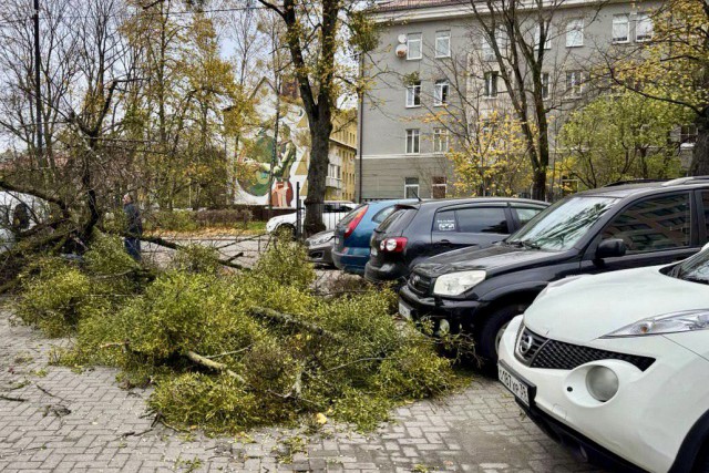 В Калининграде ввели режим повышенной готовности из-за урагана «Мартина»