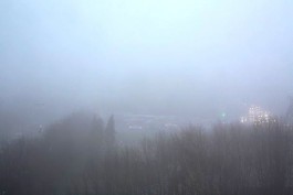Из-за густого тумана видимость в Калининградской области упала до 200-500 метров