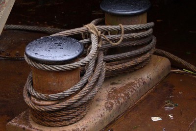 Более 50 тысяч человек посетили акцию Балтфлота в Калининграде