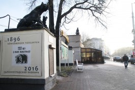 Калининградский зоопарк введёт льготные билеты для студентов и Татьян