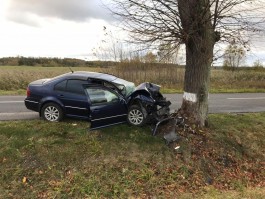 В Зеленоградском округе «Фольксваген» врезался в дерево: 67-летняя автомобилистка погибла