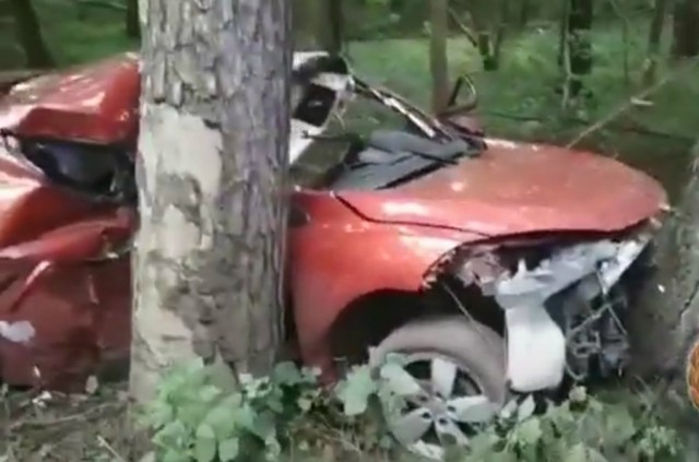 На трассе Калининград — Балтийск «Рено» врезался в дерево: водитель погиб (видео)