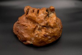 В Калининградской области добыли самый крупный за последние четыре года янтарный самородок