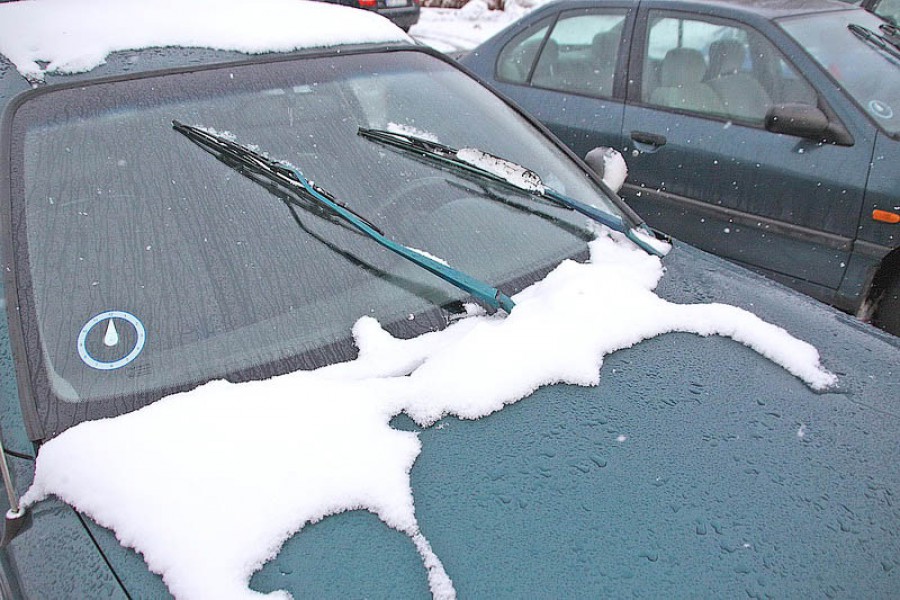 Синоптики прогнозируют мокрый снег в Калининграде и порывы ветра до 15 метров в секунду