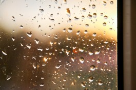 На День города калининградцев ожидает небольшой дождь