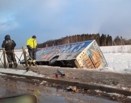 В аварии с автобусом в Светлогорске пострадал один пассажир