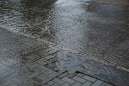 Синоптики прогнозируют в Калининградской области прохладные и дождливые выходные